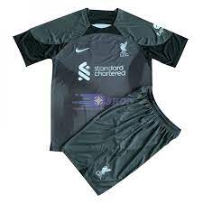 Camiseta ML del Liverpool 2014 2015 Segunda portero Equipacion